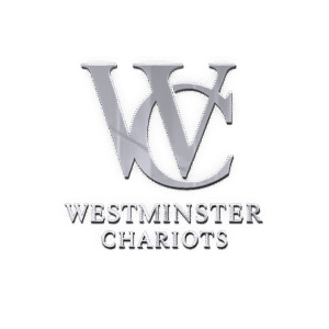 without shadows logo